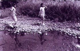 「水面にうつる・・・」 大迫美穂さん (越前市)